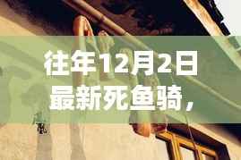 往年12月2日最新死鱼骑,探秘小巷美食,品味隐藏风味店