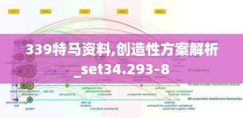 339特马资料,创造性方案解析_set34.293-8