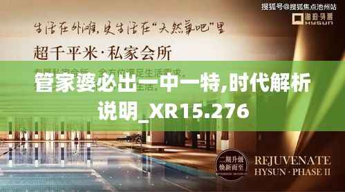 管家婆必出一中一特,时代解析说明_XR15.276