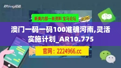 澳门一码一码100准确河南,灵活实施计划_AR10.775