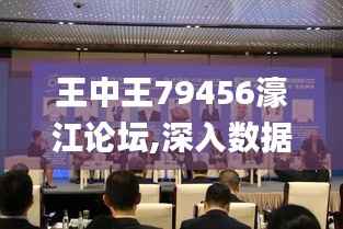 王中王79456濠江论坛,深入数据执行计划_L版2.402