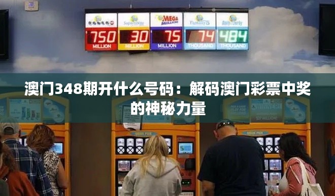 澳门348期开什么号码:解码澳门彩票中奖的神秘力量