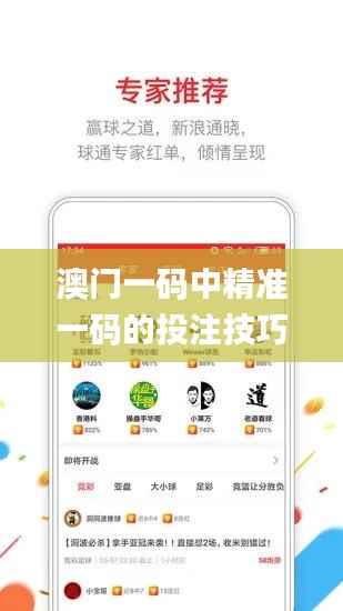 澳门一码中精准一码的投注技巧,收益说明解析_Gold4.727