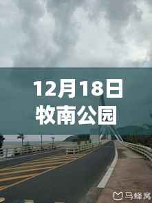 牧南公园实时路况查询,轻松掌握出行信息,应对城市交通拥堵挑战