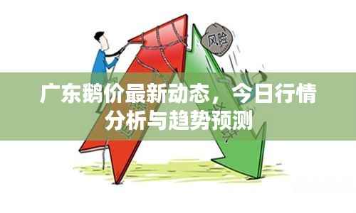 广东鹅价最新动态,今日行情分析与趋势预测