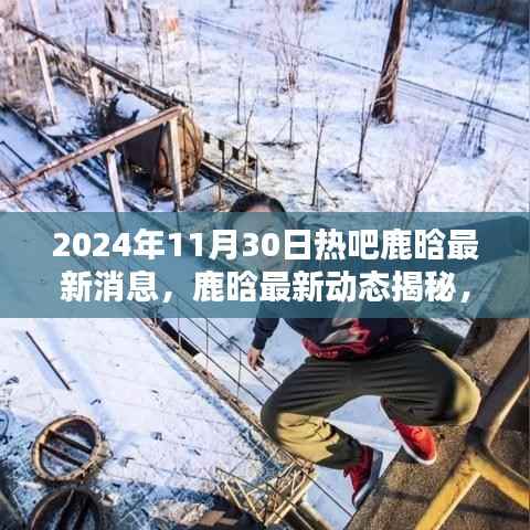 鹿晗最新动态独家报道,揭秘鹿晗热吧消息,2024年11月30日更新