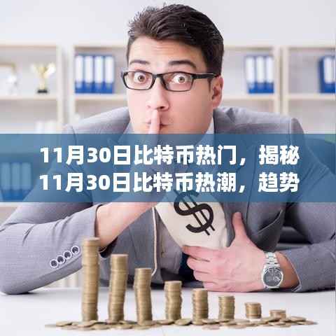 揭秘比特币热潮,趋势、影响与未来展望(11月30日热点分析)