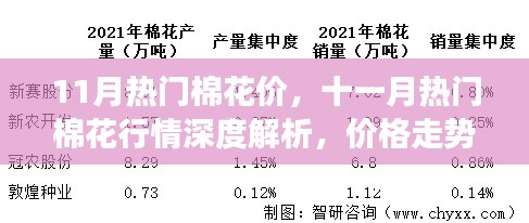 十一月棉花行情深度解析,价格走势、市场动态与未来展望