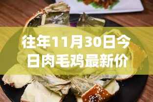 探秘往年今日肉毛鸡最新价格,小巷深处的宝藏与背后的故事揭秘