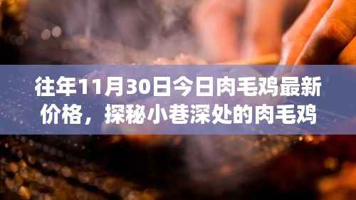 探秘往年今日肉毛鸡最新价格,小巷深处的宝藏与背后的故事揭秘