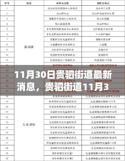 贵驷街道最新消息解读与行动指南(11月30日更新)