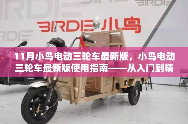 小鸟电动三轮车最新版详解,从入门到精通的使用指南
