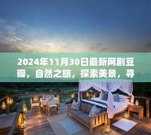 2024年最新网剧豆瓣之旅,自然探索与内心宁静的寻找