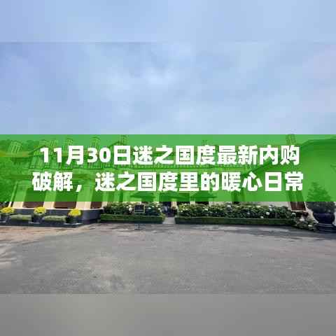 11月30日迷之国度内购破解揭秘,日常中的友情与犯罪边缘的邂逅