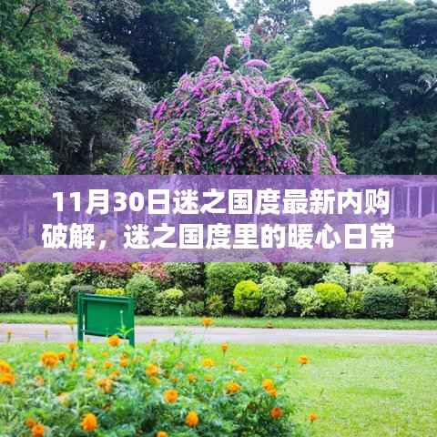 11月30日迷之国度内购破解揭秘,日常中的友情与犯罪边缘的邂逅