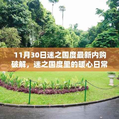 11月30日迷之国度内购破解揭秘,日常中的友情与犯罪边缘的邂逅