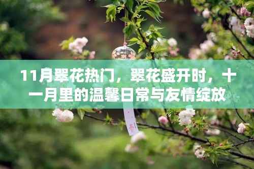 十一月翠花盛开,温馨日常与友情绽放的时光