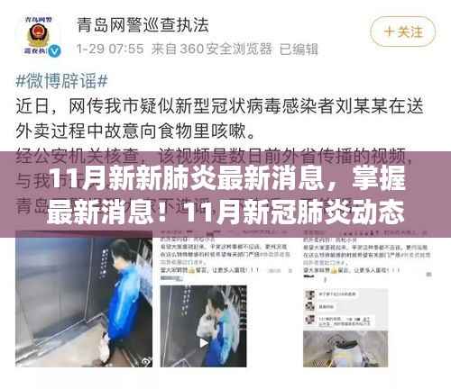 11月新冠肺炎最新动态解析与应对策略步骤指南,掌握最新消息,科学防控疫情