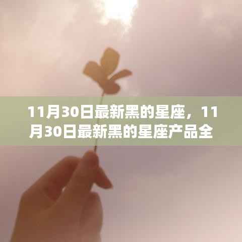 11月30日最新黑星座产品全面评测与介绍,深度了解星座产品特性