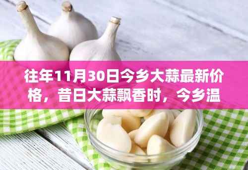 昔日大蒜飘香再现,今乡温情续缘——最新大蒜价格一览