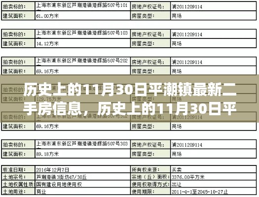 历史上的11月30日平潮镇二手房市场深度解析及最新信息概览,深度解读市场趋势与最新房源信息。
