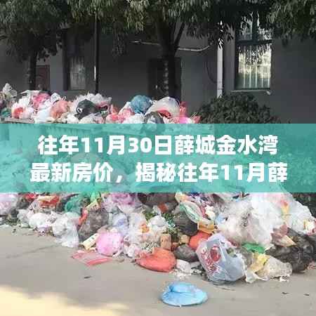 揭秘往年11月薛城金水湾房价走势及最新动态展望,洞悉房价趋势与未来展望