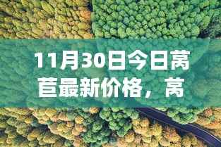 拥抱自信与成就感的奇妙旅程,揭秘莴苣最新价格变化