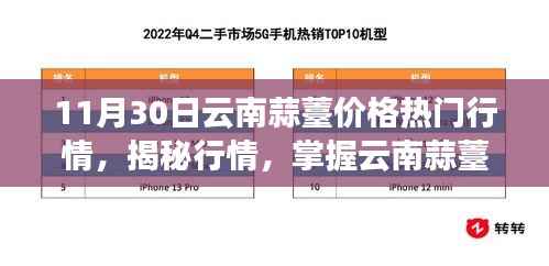 揭秘行情走势,云南蒜薹价格走势与市场机遇洞察