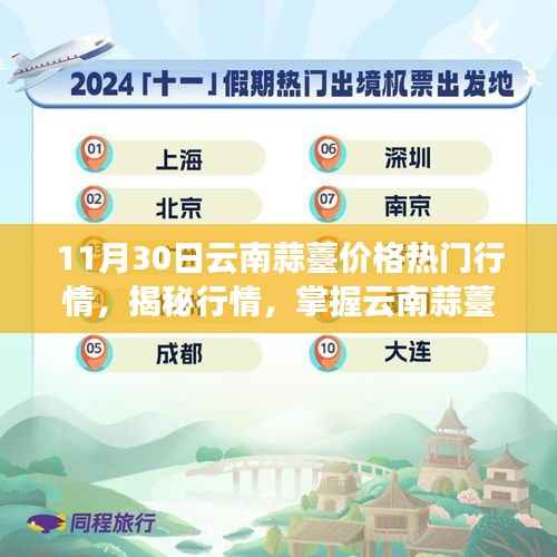 揭秘行情走势,云南蒜薹价格走势与市场机遇洞察