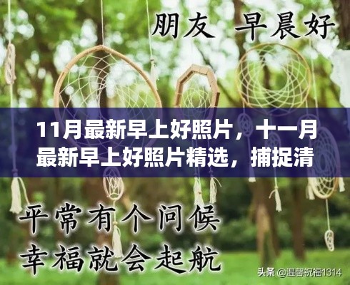 十一月清晨的美好瞬间,精选早上好照片