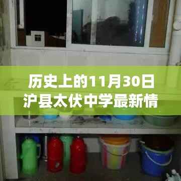 沪县太伏中学,温馨时光下的历史印记——特别纪念11月30日最新动态