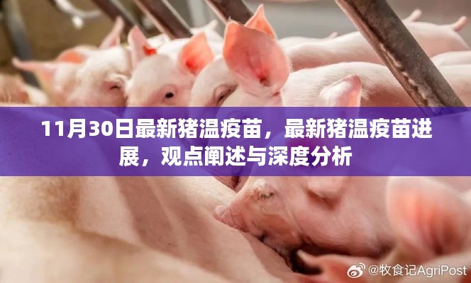 最新猪温疫苗进展深度解析,观点阐述与11月30日最新动态