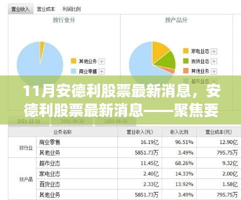 安德利股票最新动态解析,聚焦要点,洞悉市场变化(11月版)