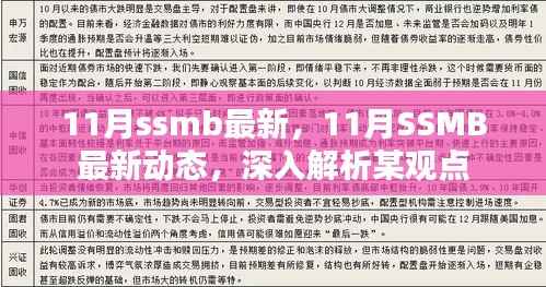 深入解析某观点,最新动态与解读关于11月SSMB的最新消息