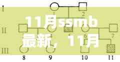 深入解析某观点,最新动态与解读关于11月SSMB的最新消息