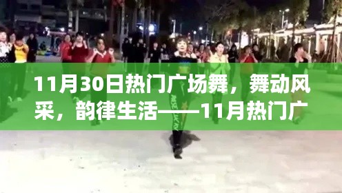 11月热门广场舞风采展示,韵律生活舞动魅力