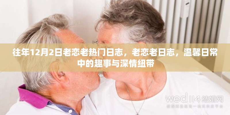老恋老日志回顾,温馨日常趣事与深情纽带,历年12月2日的热门日志盘点