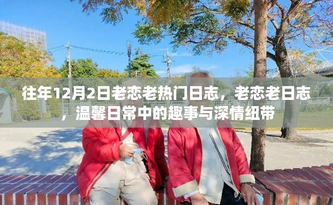 老恋老日志回顾,温馨日常趣事与深情纽带,历年12月2日的热门日志盘点