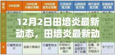 田培炎最新动态深度解析,产品特性、用户体验与目标用户群测评报告(12月2日更新)
