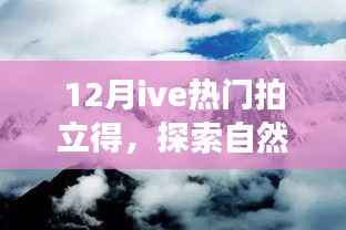 十二月热门拍立得之旅,探索自然美景,寻找内心的平和与宁静
