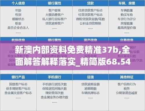 新澳内部资料免费精准37b,全面解答解释落实_精简版68.549-9