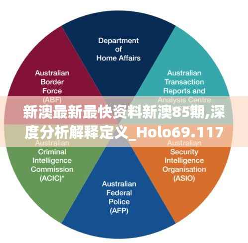 新澳最新最快资料新澳85期,深度分析解释定义_Holo69.117-9