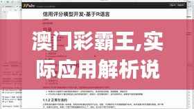 澳门彩霸王,实际应用解析说明_W40.268-8