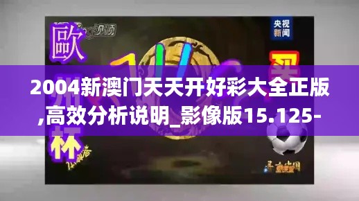 2004新澳门天天开好彩大全正版,高效分析说明_影像版15.125-7