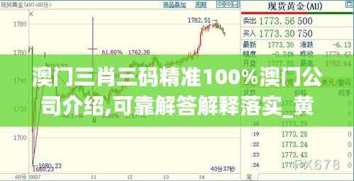 澳门三肖三码精准100%澳门公司介绍,可靠解答解释落实_黄金版161.404-8
