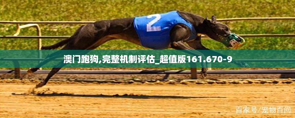澳门跑狗,完整机制评估_超值版161.670-9