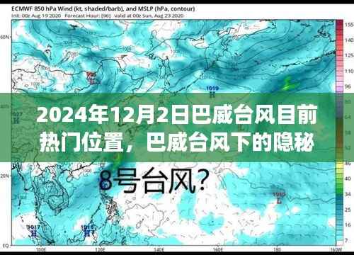 巴威台风下的隐秘小巷,味蕾与探索的盛宴开启