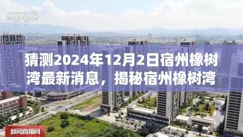 揭秘宿州橡树湾最新动态,2024年预测分析与全面评测(最新消息)