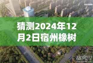 揭秘宿州橡树湾最新动态,2024年预测分析与全面评测(最新消息)