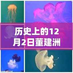 董建洲最新动态及历史背景揭秘,聚焦历史上的十二月二日